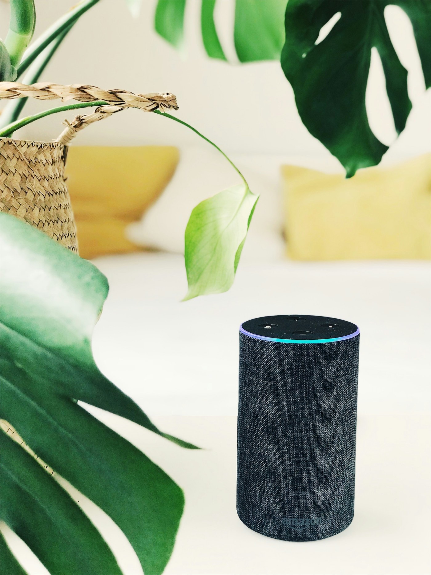 Slimme speaker in huis als context voor privacy-instellingen en spraakassistenten