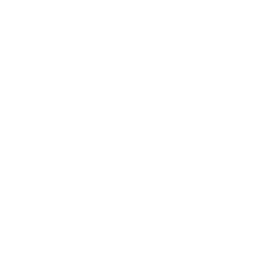 Logo Huisslimmer Diapositief